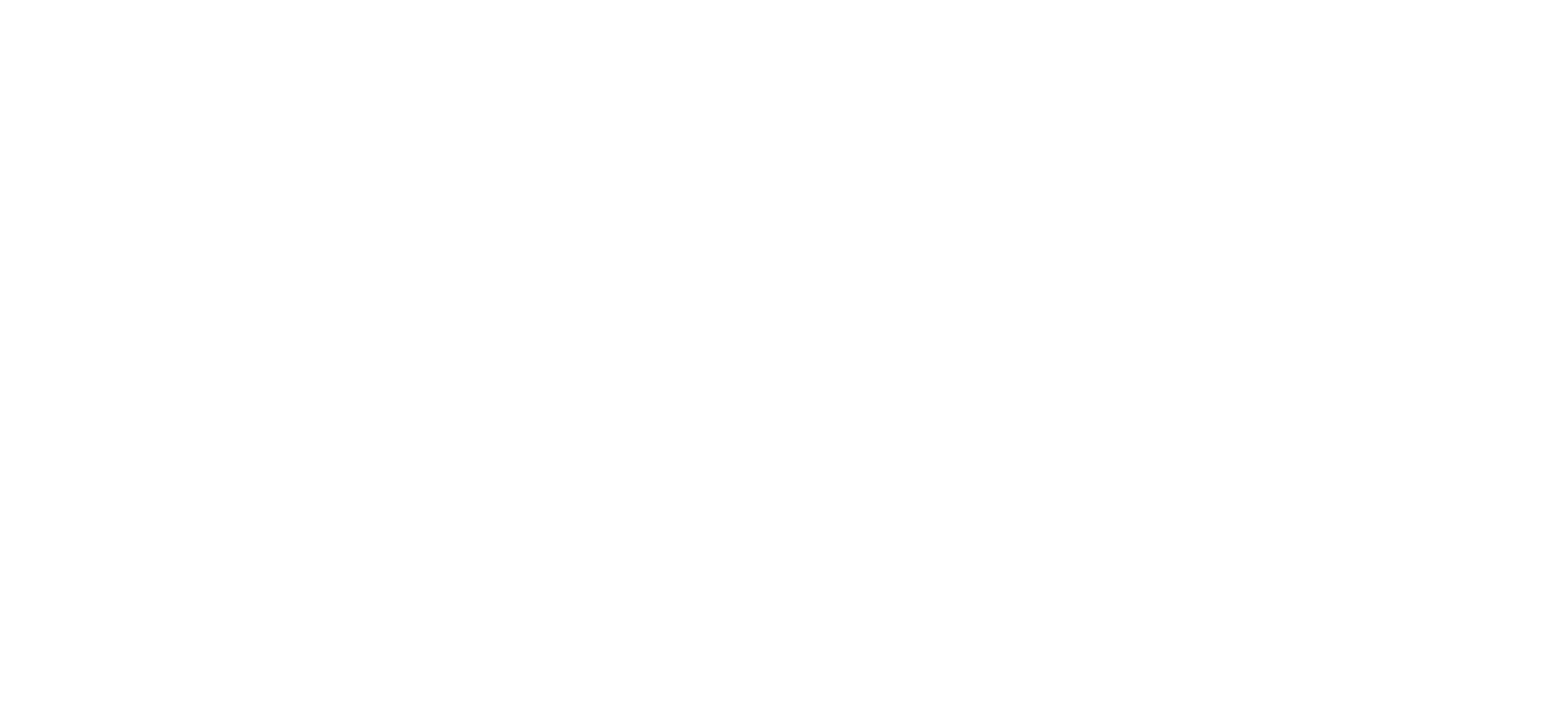 vimagineo_logo